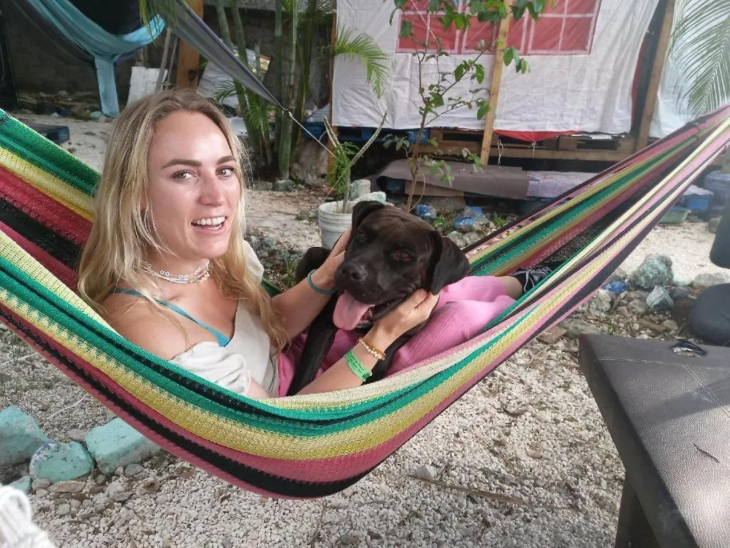 Hotel Camping & Voluntary Cozumel Mexiko