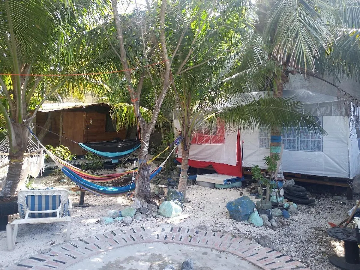 Camping & Voluntary location