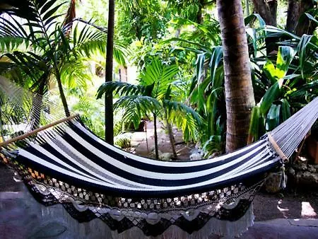 Kemp Hotel Camping & Voluntary Cozumel Mexiko